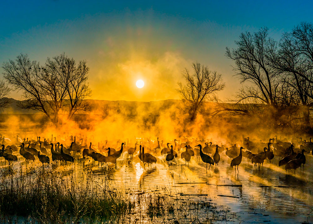 IPA Awards 2023 - Fotografía: Matthew Fisher I Tema: Naturaleza / Puesta de sol