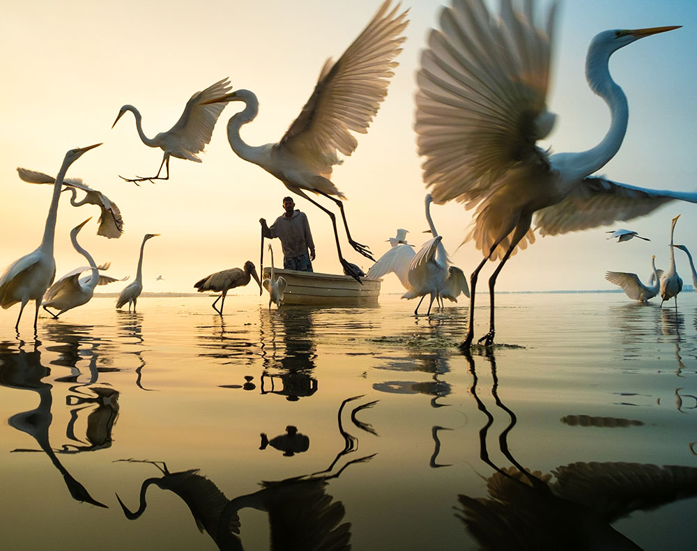 IPA Awards 2023 - Fotografía: Moises Levy I Tema: Naturaleza / Animales