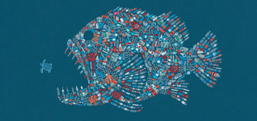 Ilustración de @John Holcroft